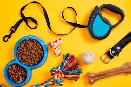 Accessoires chiens — archive Animal’s Food Market
